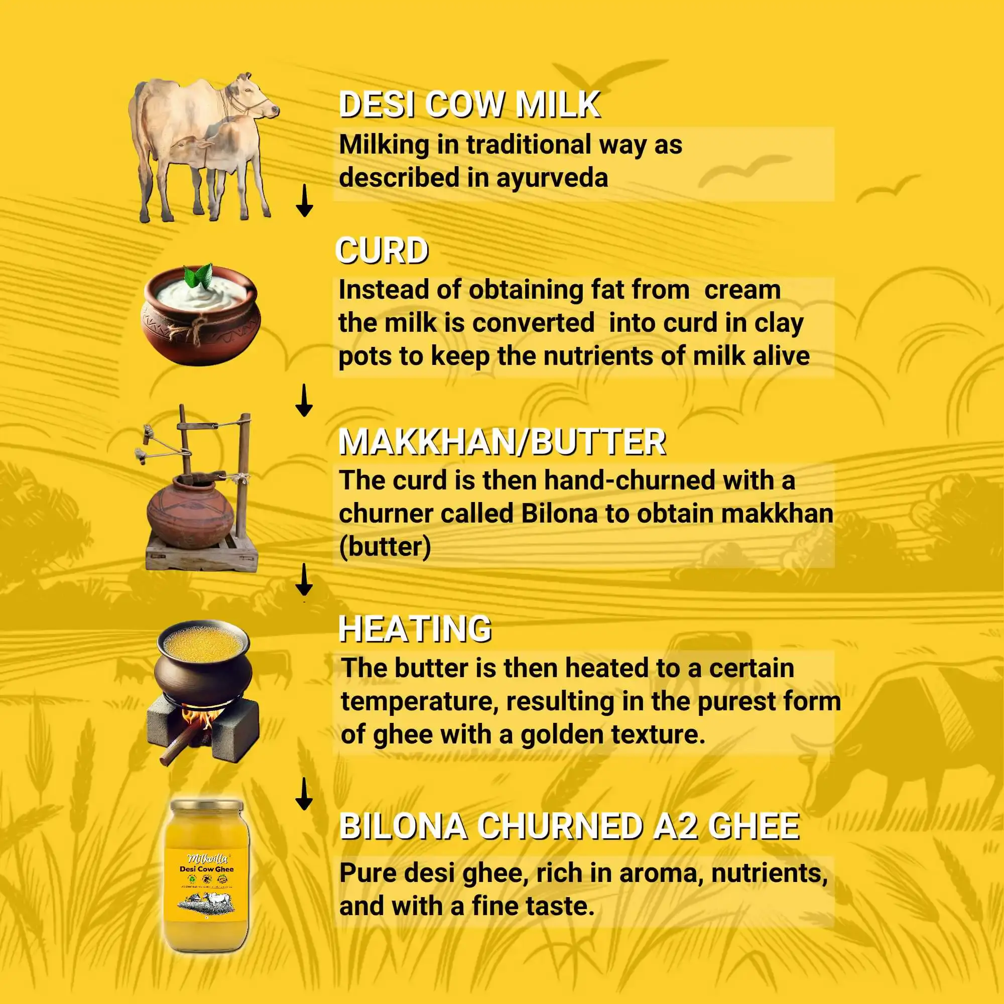 Milkvilla Pure A2 Desi Cow Ghee - Image 1